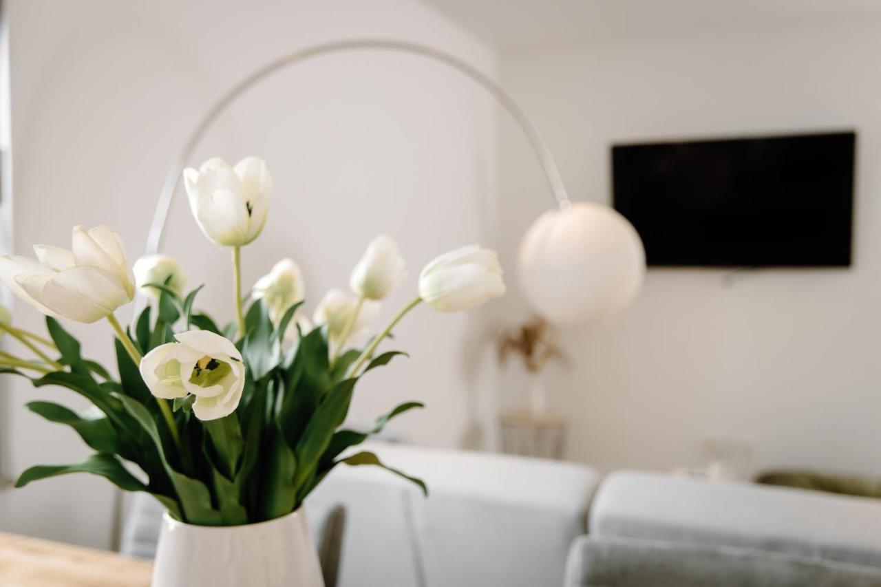 Moderne Suite No1 Im Herzen Von Hameln Hamelin Bagian luar foto